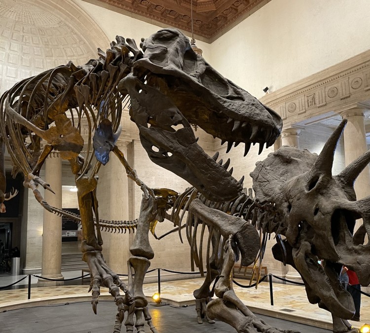natural-history-museum-of-los-angeles-county-photo